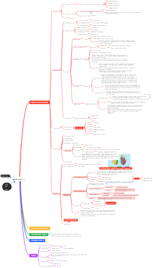 spinal nerve (medicine)