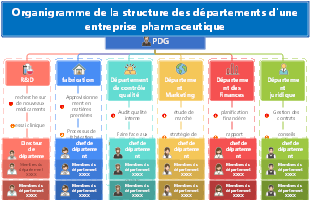 Organigramme de la structure des départements d'une entreprise pharmaceutique