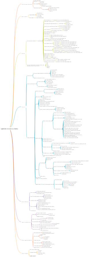 Structure d'exploitation des mines de charbon