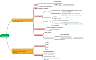 Triangle (knowledge points and question types)
