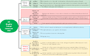05 Giardini italiani rinascimentali