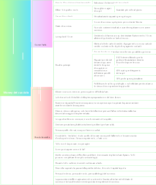 Moneta cucciolo la lettura dell'illuminazione per la ricchezza più venduta in Europa e negli Stati Uniti