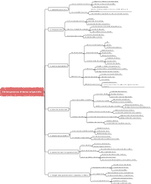L'intero processo di ricerca sul prodotto