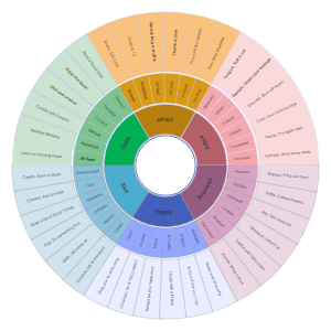 Emotions Wheel