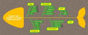 PRADEEP RAUT 
SCHEDULE OF SUMMIT
WORKFLOW CHART