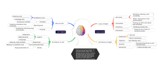 Use&Attributes about left and right brain