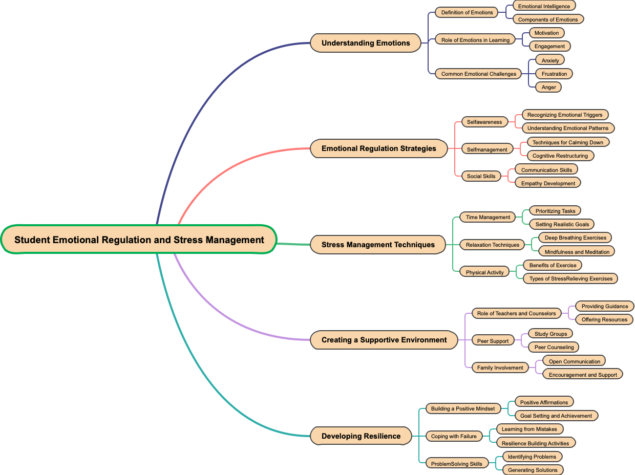 Student Emotional Regulation and Stress Management