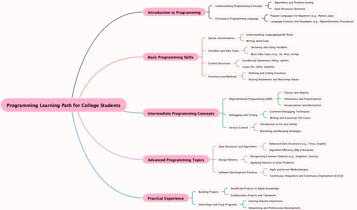 Programming Learning Path for College Students