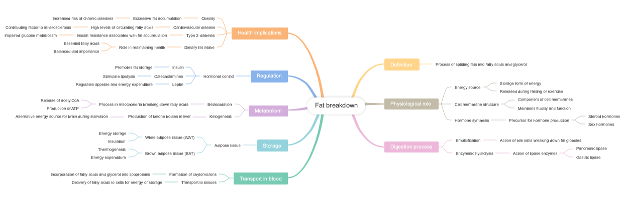 Fat breakdown