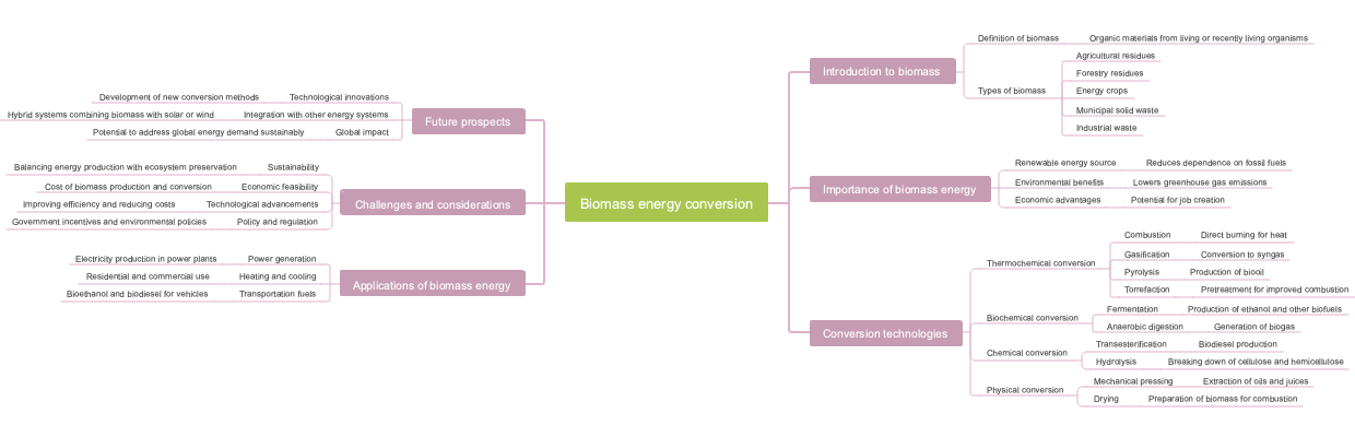 Biomass energy conversion