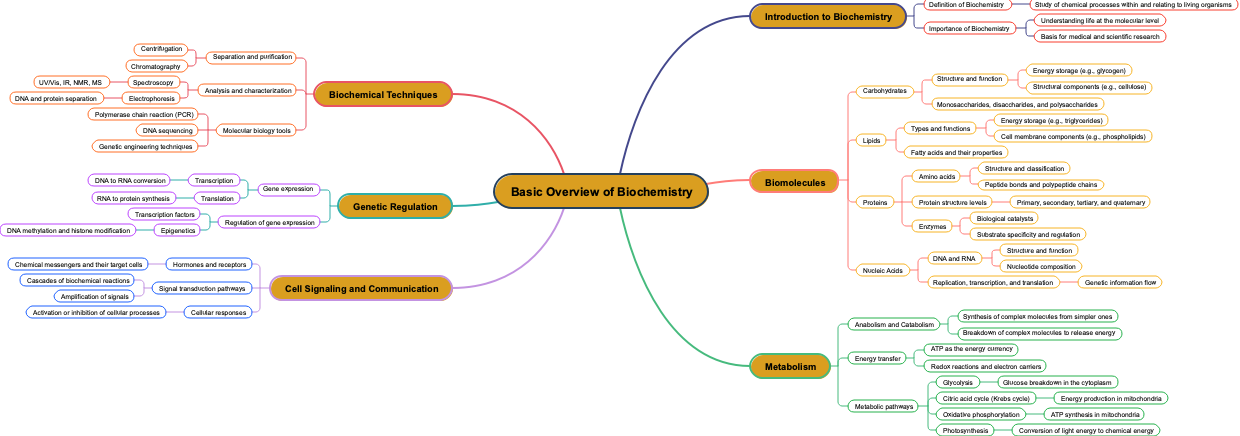 Basic Overview of Biochemistry