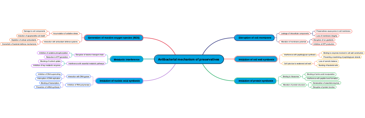 Antibacterial mechanism of preservatives