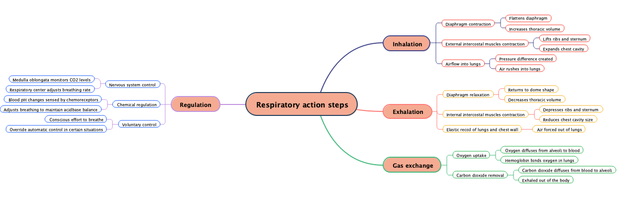 Respiratory action steps