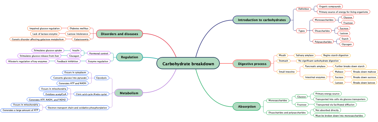 Carbohydrate breakdown