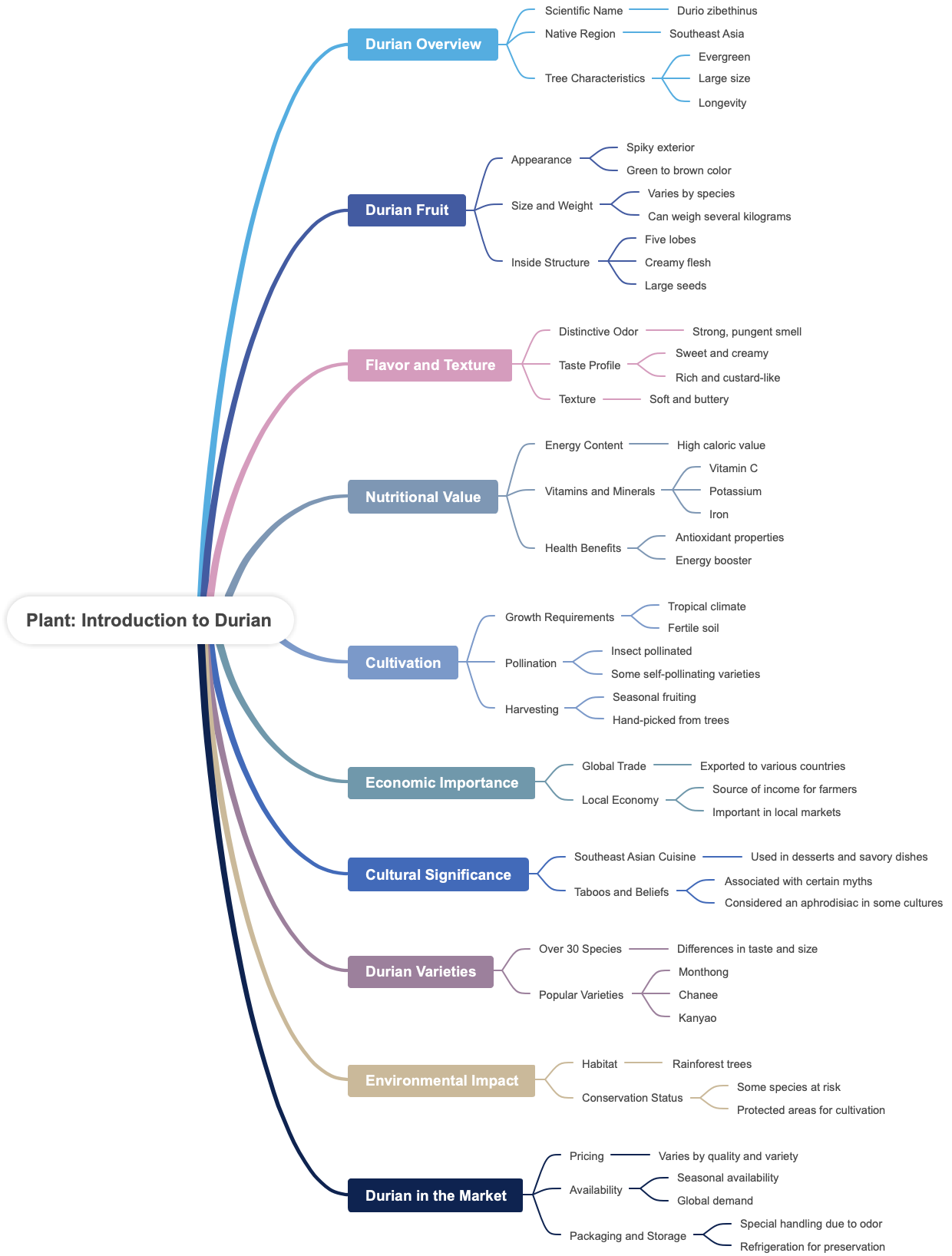 Plant Introduction to Durian