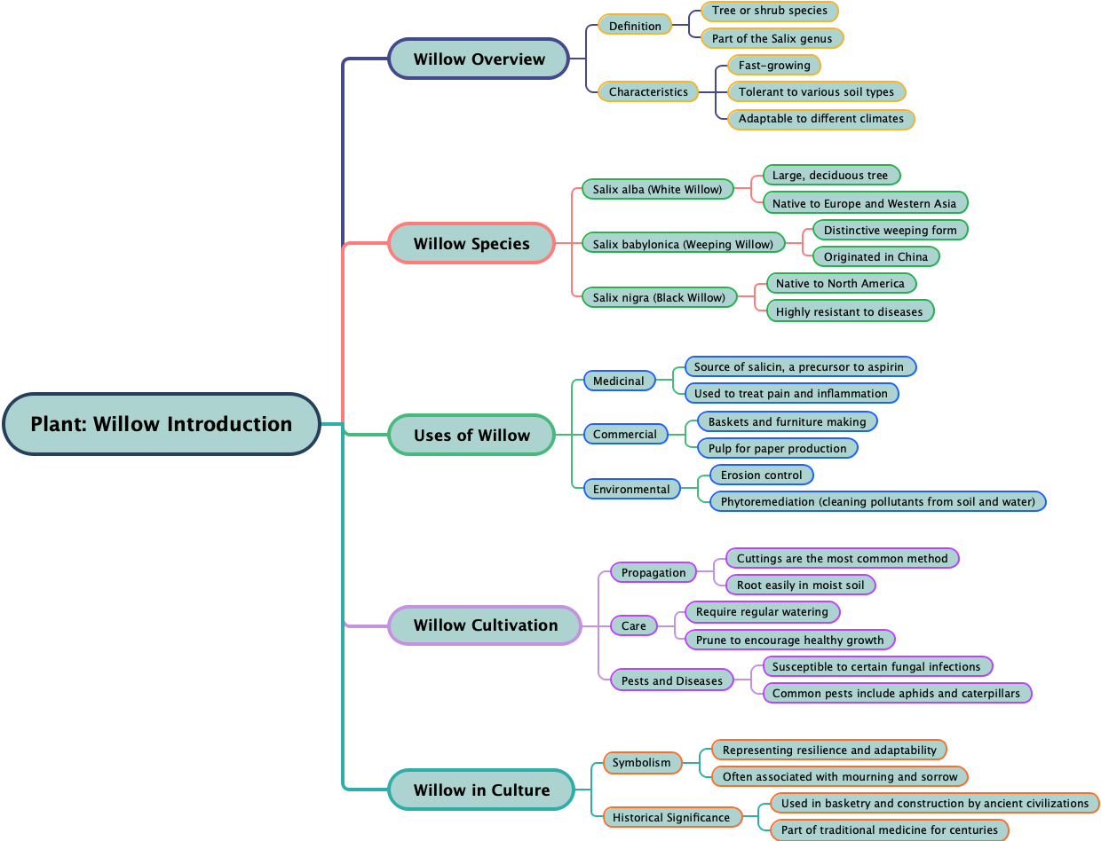 Plant Willow Introduction