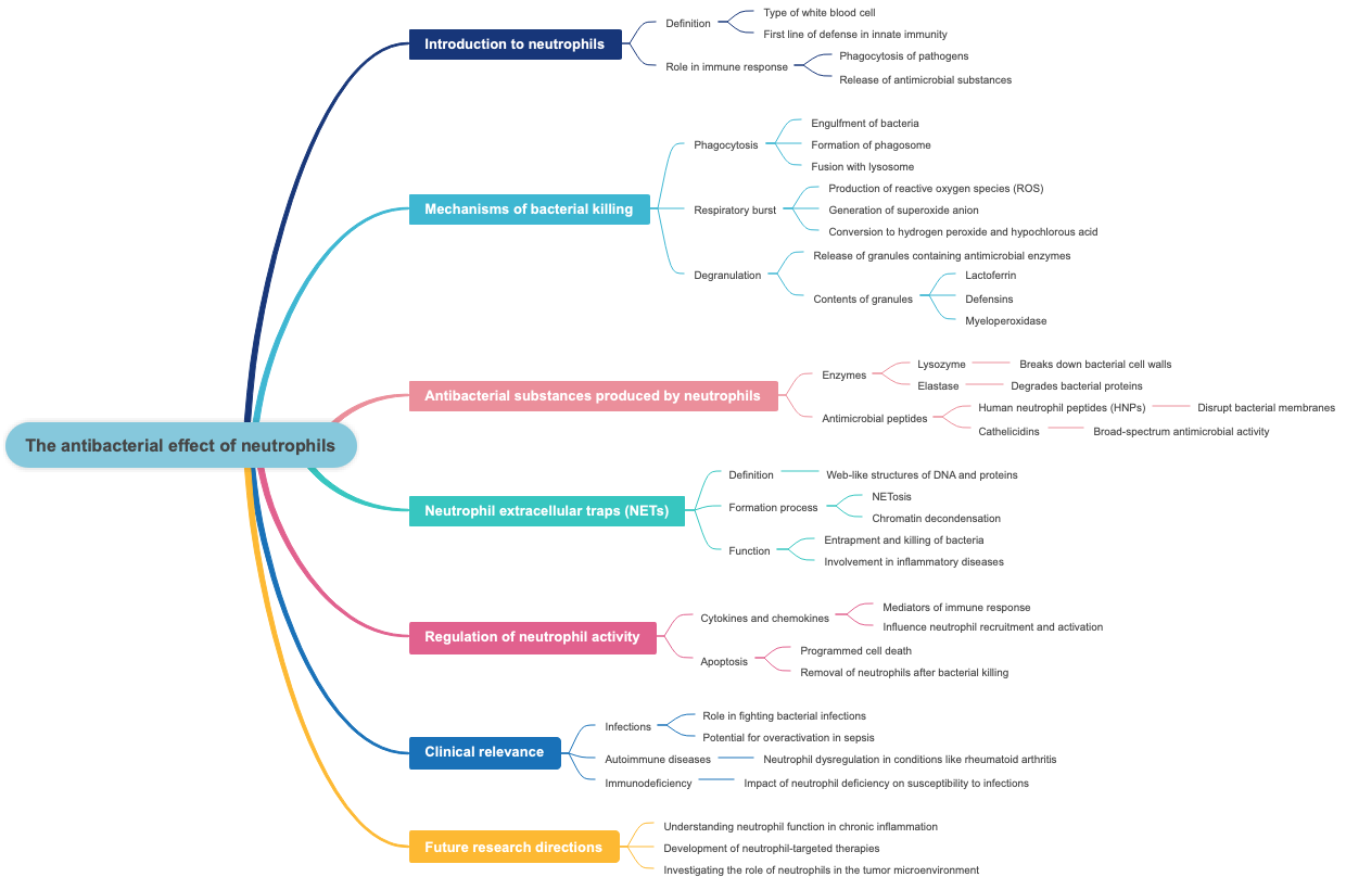 The antibacterial effect of neutrophils