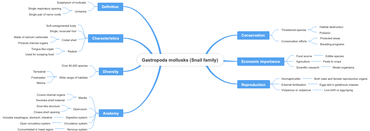 Gastropoda mollusks (Snail family)