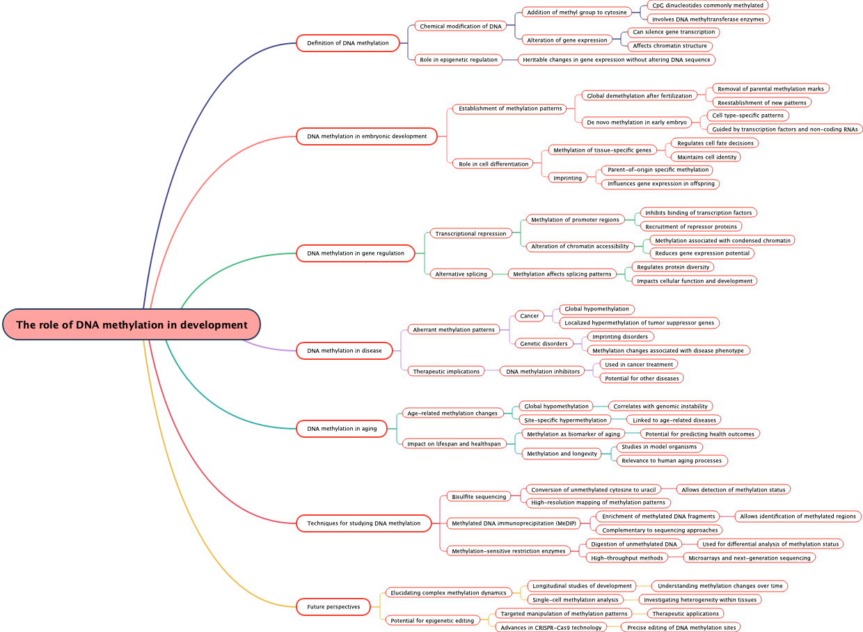 The role of DNA methylation in development