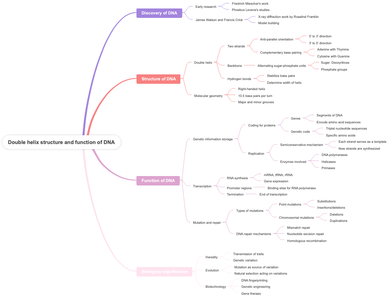 Double helix structure and function of DNA
