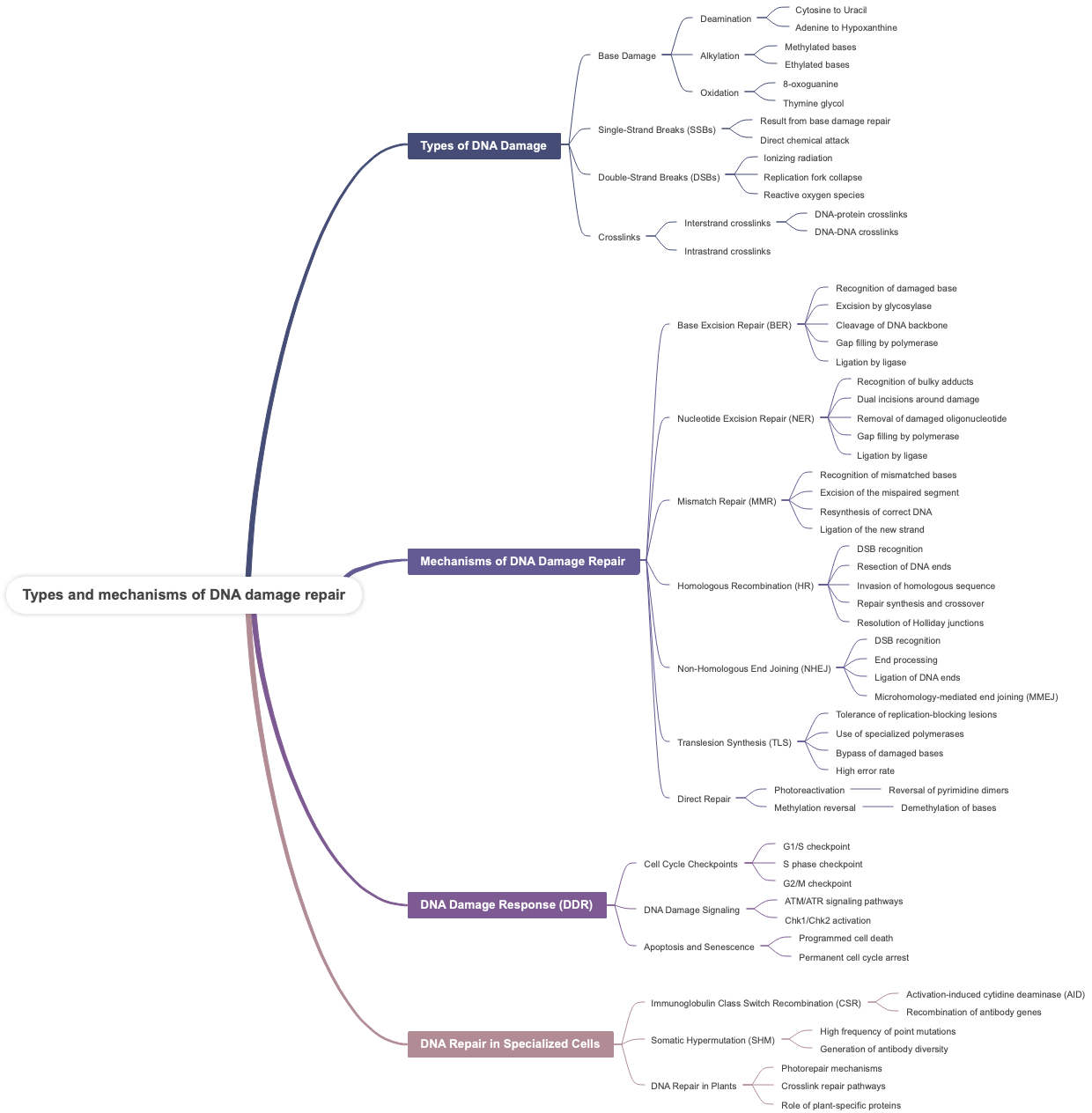 Types and mechanisms of DNA damage repair