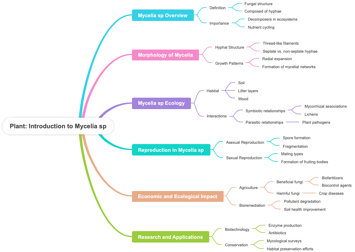 Plant Introduction to Mycelia sp