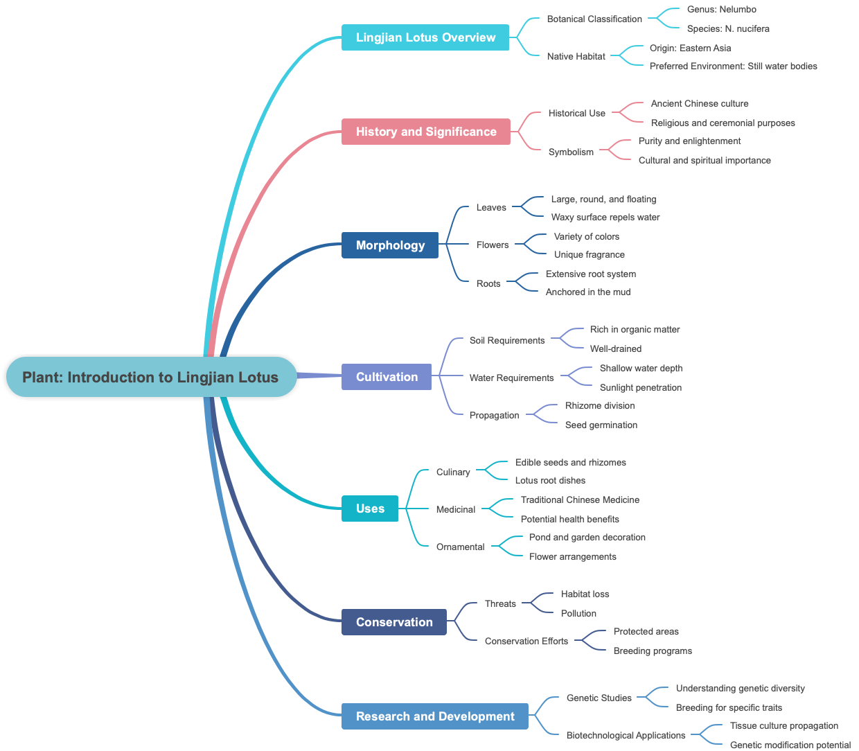 Plant Introduction to Lingjian Lotus