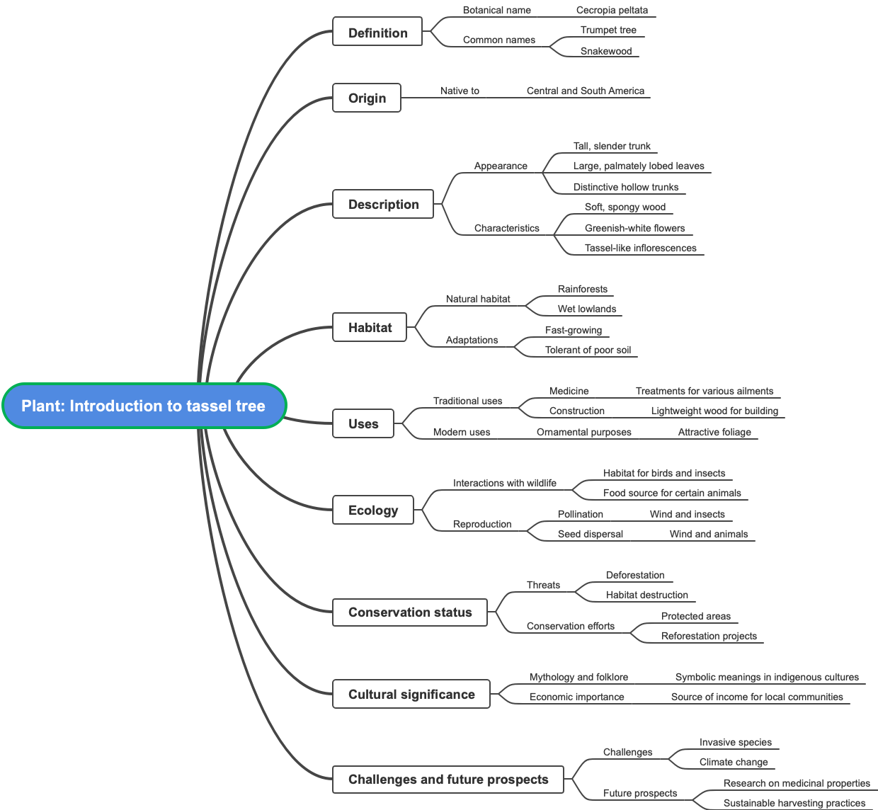 Plant Introduction to tassel tree