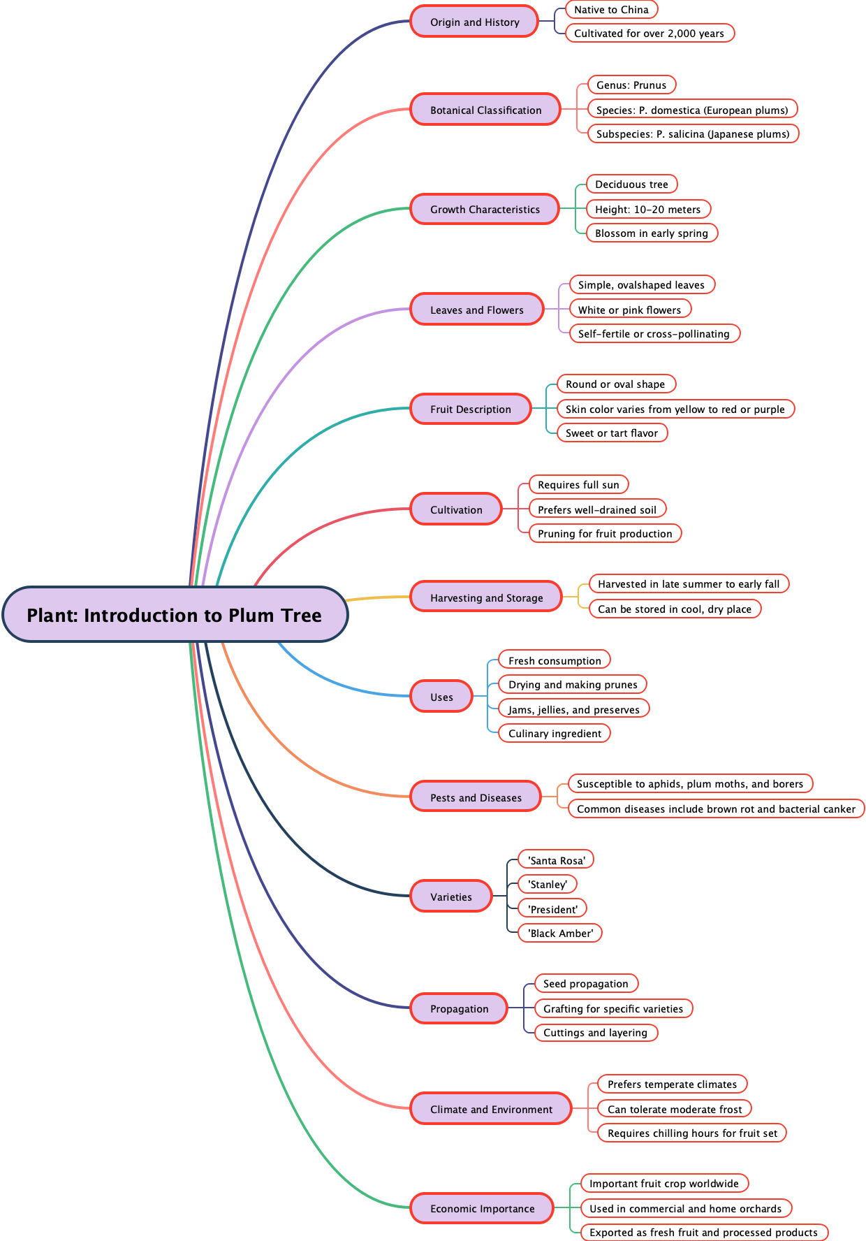 Plant Introduction to Plum Tree