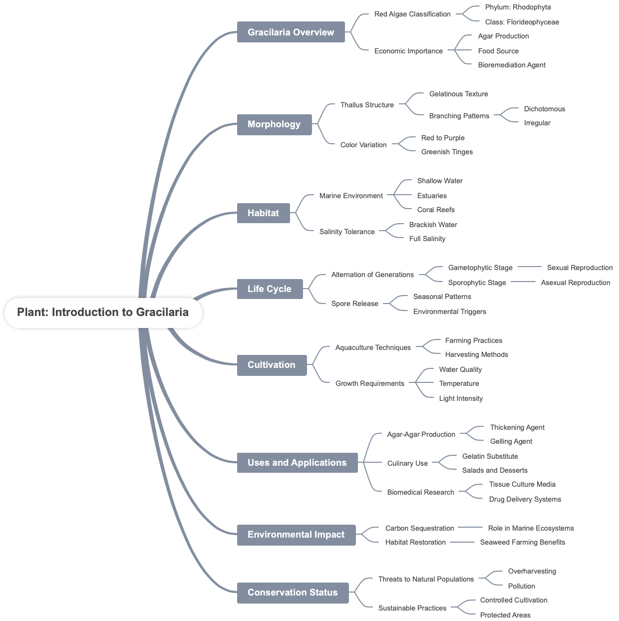 Plant Introduction to Gracilaria