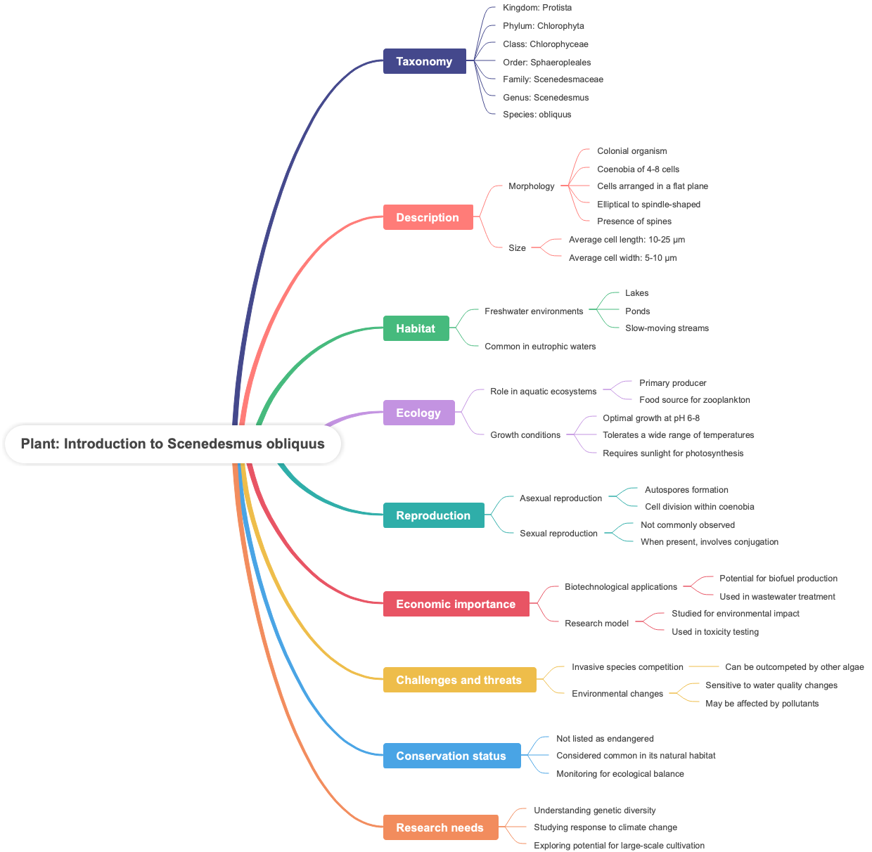 Plant Introduction to Scenedesmus obliquus