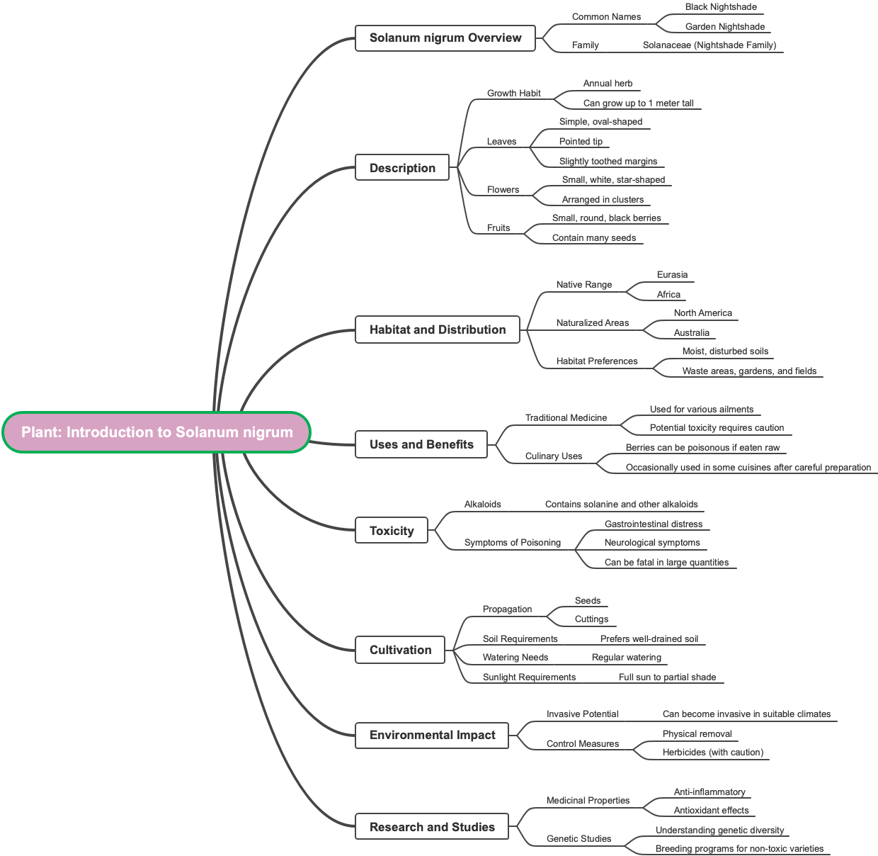 Plant Introduction to Solanum nigrum