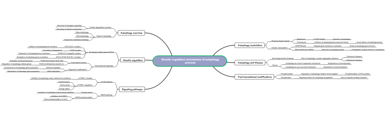 Genetic regulation mechanism of autophagy process