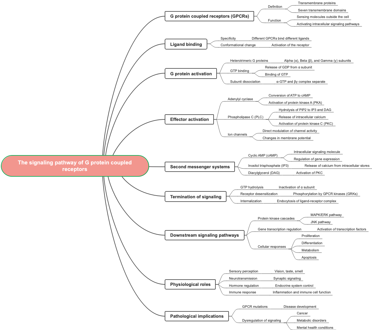 The signaling pathway of G protein coupled receptors