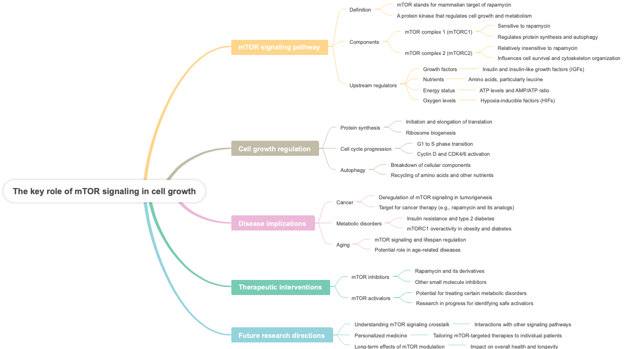 The key role of mTOR signaling in cell growth