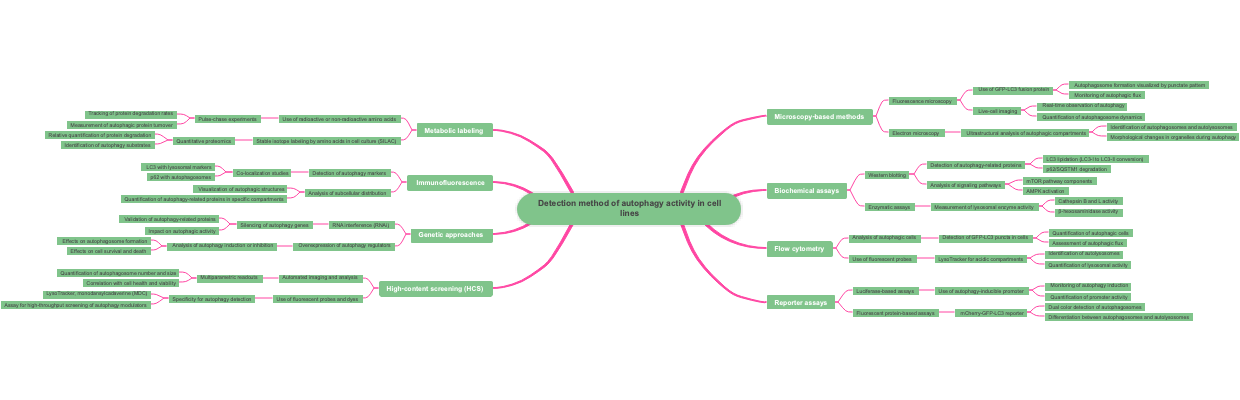 Detection method of autophagy activity in cell lines