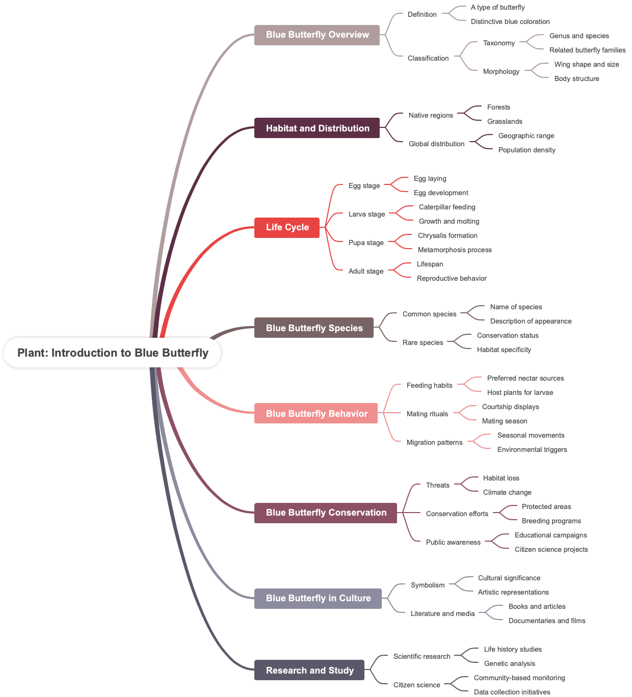 Plant: Introduction to Blue Butterfly