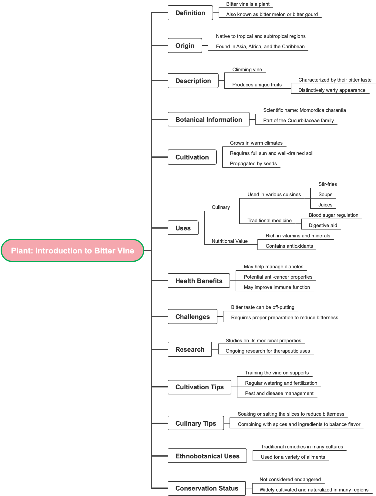 Plant Introduction to Bitter Vine