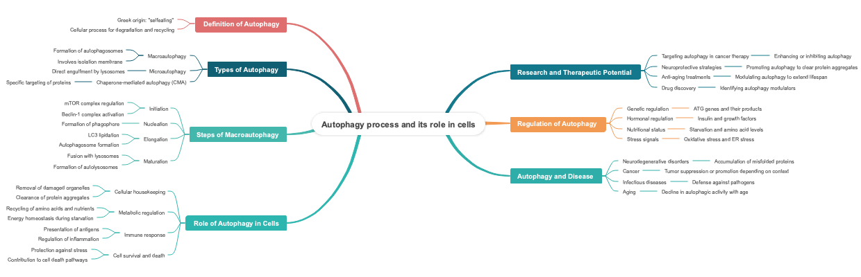 Autophagy process and its role in cells