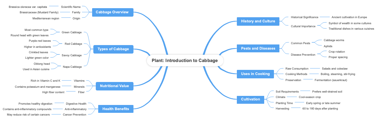 Plant Introduction to Cabbage