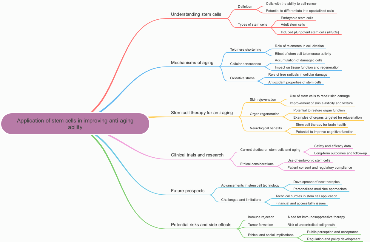 Application of stem cells in improving anti-aging ability
