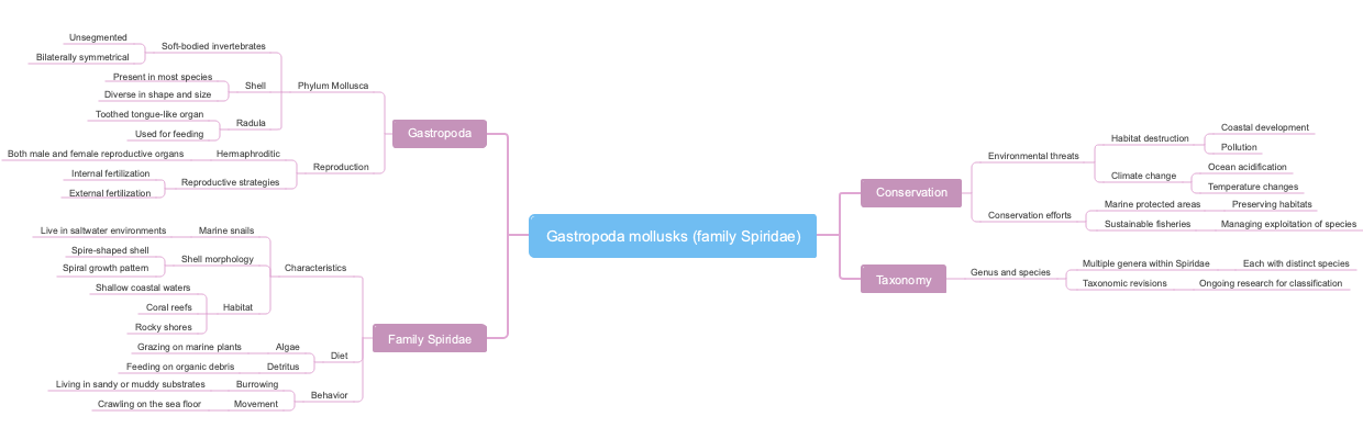 Gastropoda mollusks (family Spiridae)