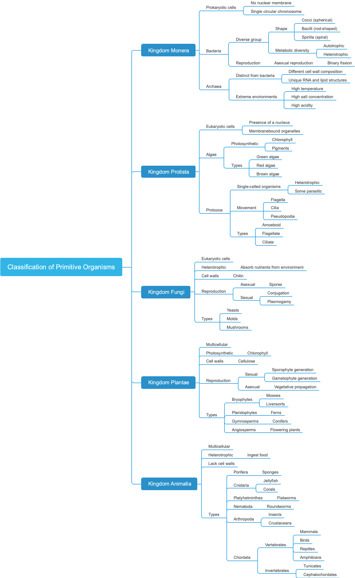 Classification of Primitive Organisms
