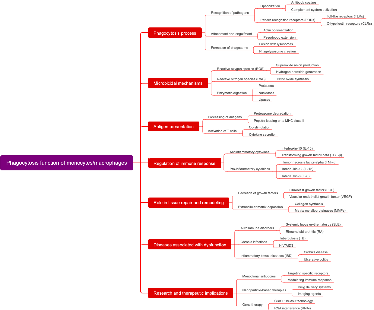 Phagocytosis function of monocytes/macrophages