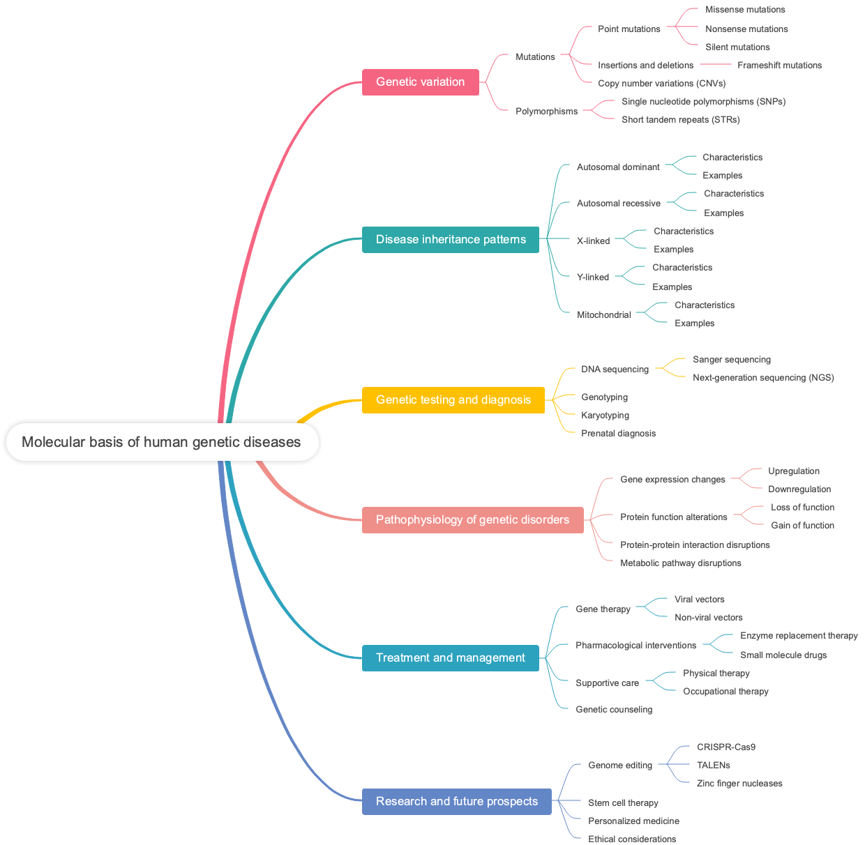 Molecular basis of human genetic diseases