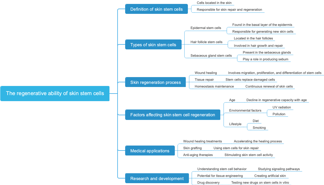 The regenerative ability of skin stem cells