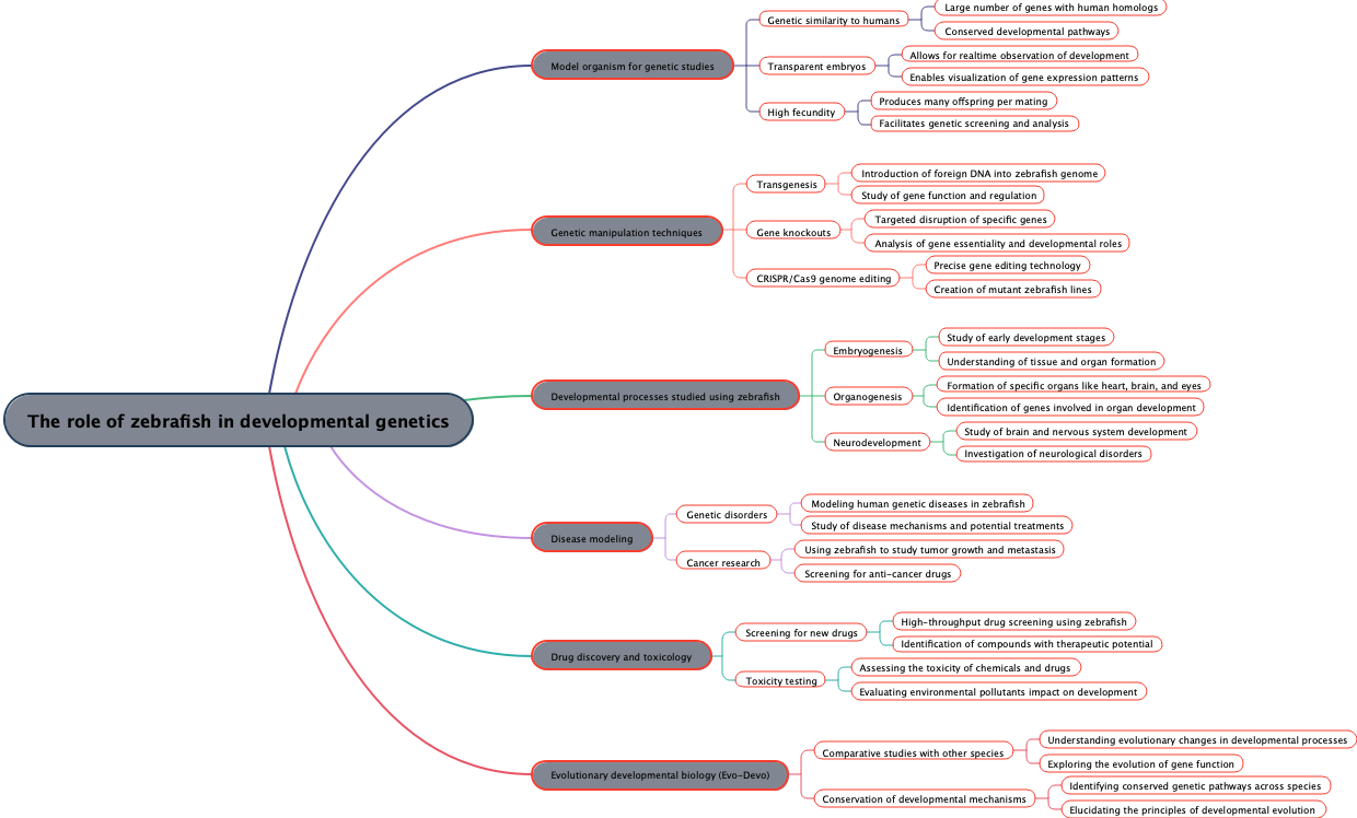 The role of zebrafish in developmental genetics