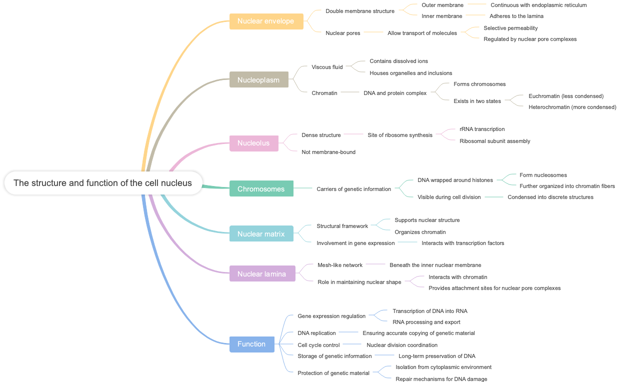 The structure and function of the cell nucleus