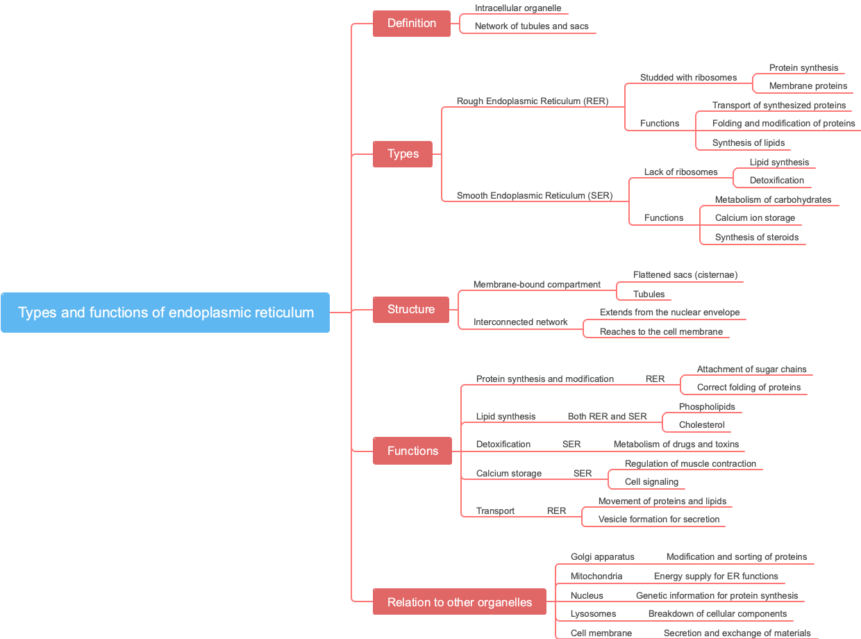 Types and functions of endoplasmic reticulum