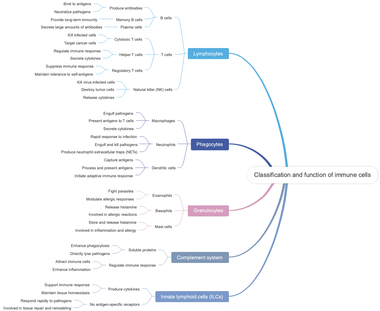 Classification and function of immune cells